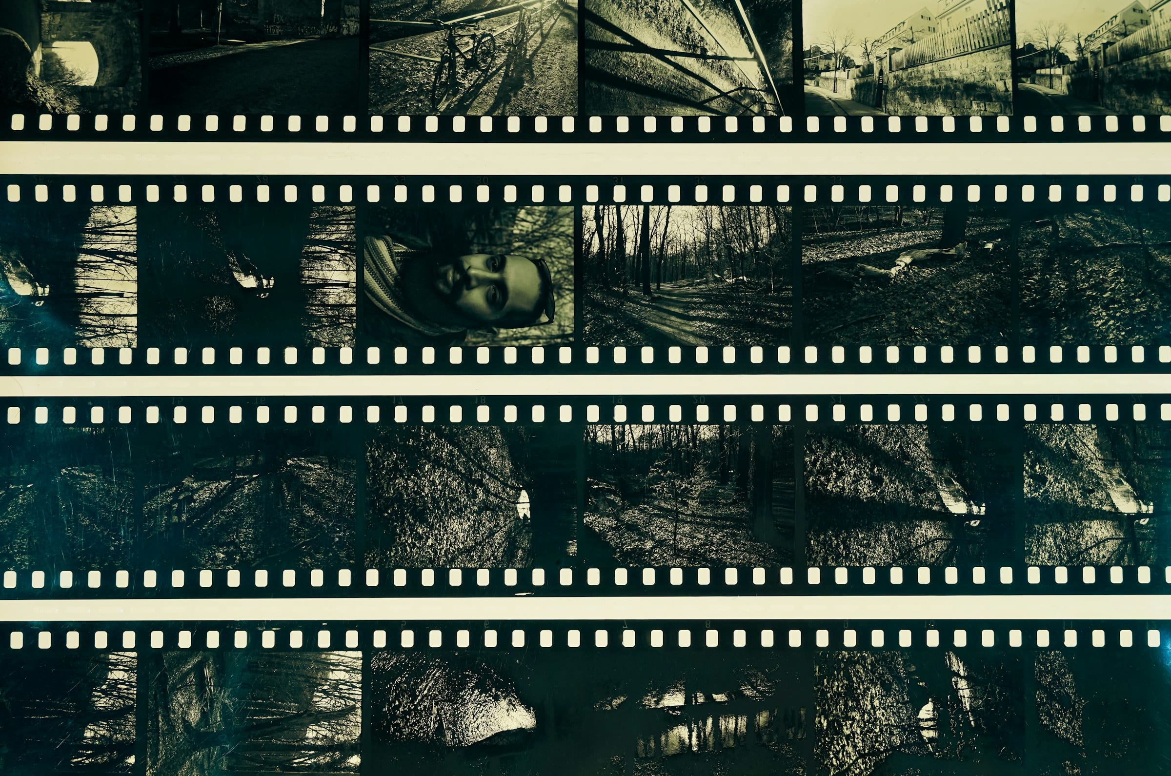 Strips of black and white negatives laid out side by side