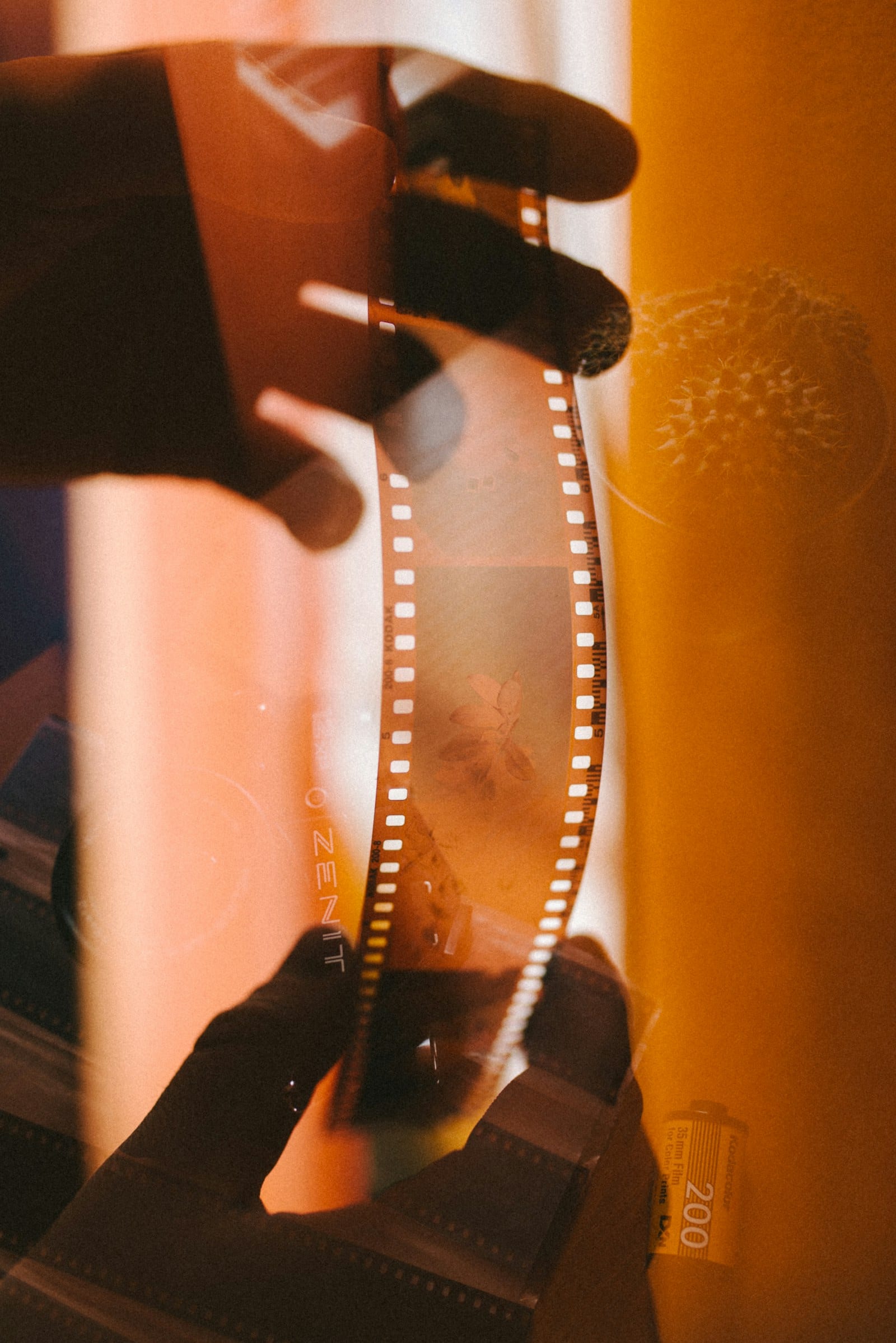 Hands holding a strip of negatives up to warm light